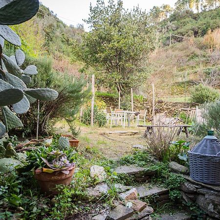 Il Limoneto Dei Cinque Sensi,Apartment With Garden Вернацца Экстерьер фото