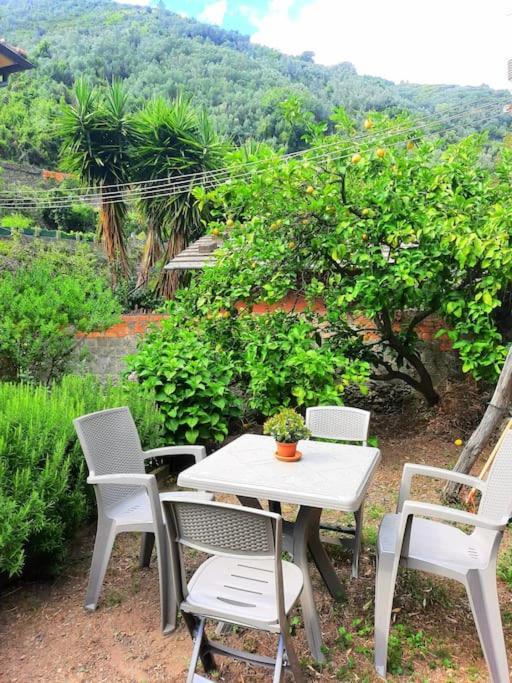Il Limoneto Dei Cinque Sensi,Apartment With Garden Вернацца Экстерьер фото