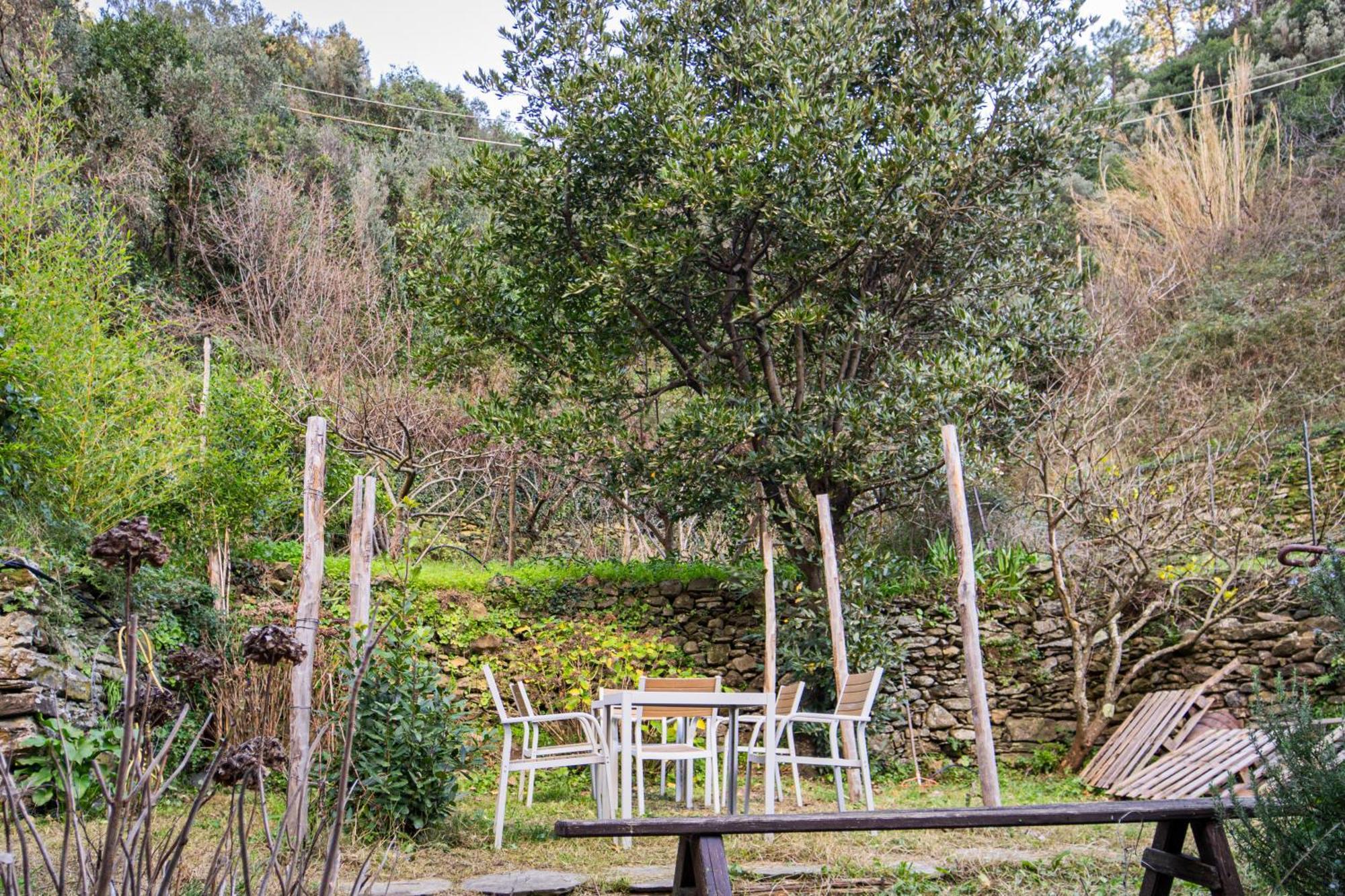Il Limoneto Dei Cinque Sensi,Apartment With Garden Вернацца Экстерьер фото
